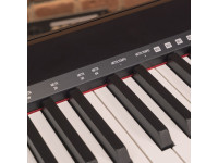 OQAN QK88P Piano Digital para Iniciantes 88 Teclas Semipesadas OQAN QK88P Piano Digital para Iniciantes 88 Teclas Semipesadas